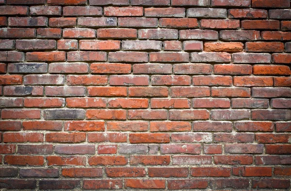 赤 grundge 壁 — ストック写真