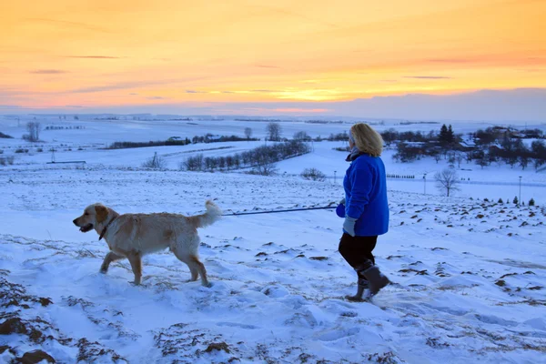 Vandring med hund — Stockfoto