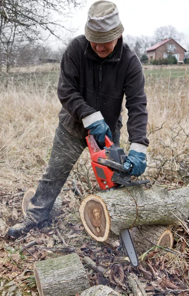 Lumberman working — Stock Photo, Image
