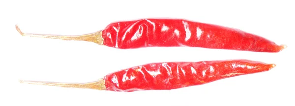 Red Chilli dengan latar belakang putih — Stok Foto