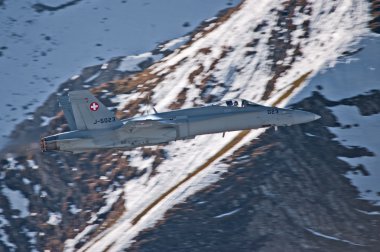 Swiss Hornet clipart