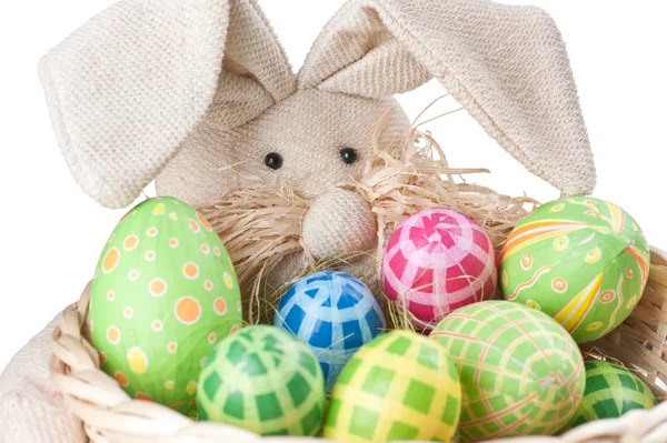 Huevos de Pascua y conejito —  Fotos de Stock