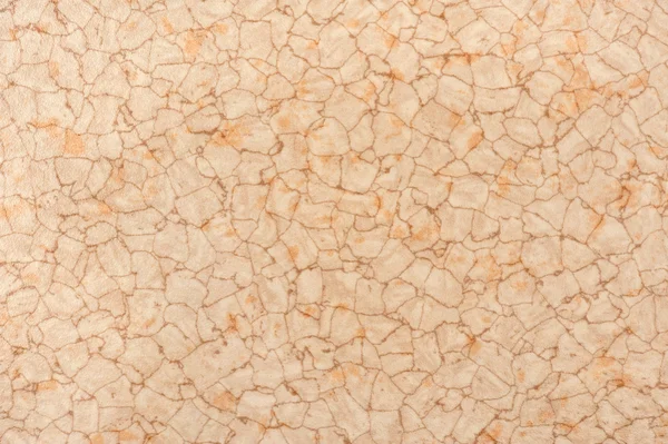 stock image Beige stone background