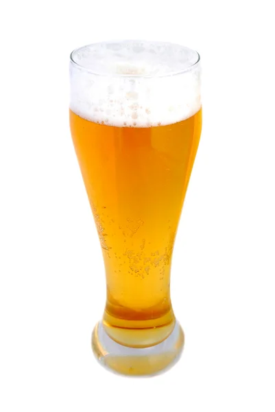 stock image Pint of lager
