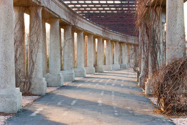 Road between columns — Stock Photo, Image