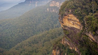 Blue mountains, Avustralya