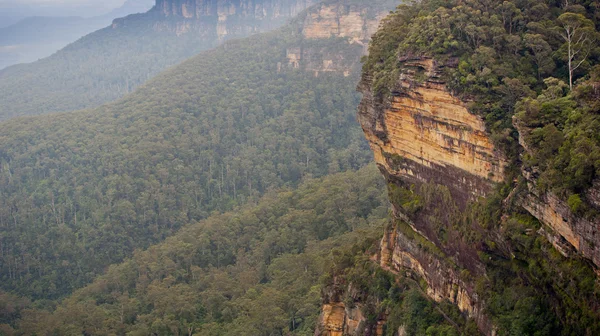 Blue mountains, Australië — Stockfoto