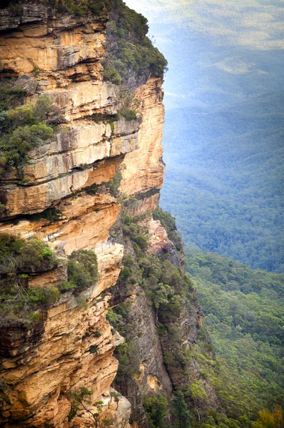 Blue mountains, Australien — Stockfoto