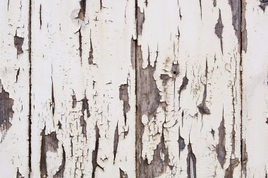 Weathered Paint on Wood clipart