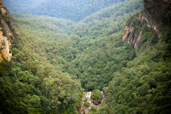 滝の谷 — ストック写真