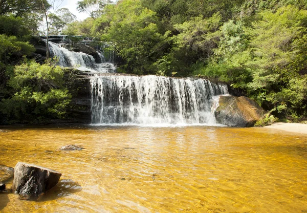 Wentworth Falls, Blue Mountains — Stock fotografie