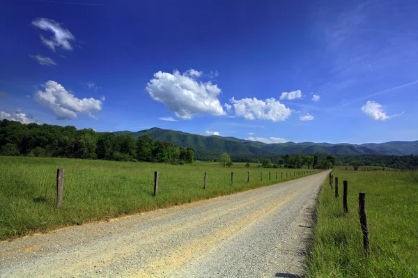 Summer country road — Stock Photo, Image