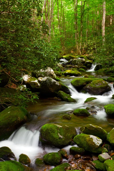 Bosque arroyo con rocas musgosas — Foto de Stock
