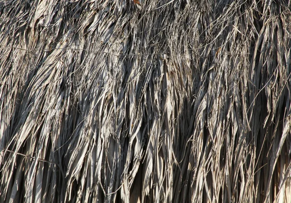 La consistenza dei tetti di paglia — Foto Stock