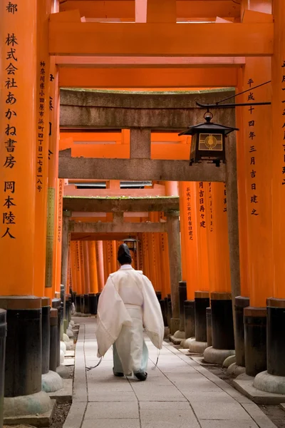 Japan arch — Stockfoto