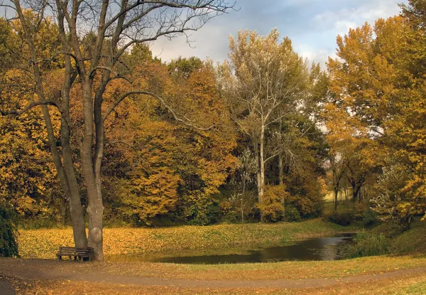 stock image Autumn Park