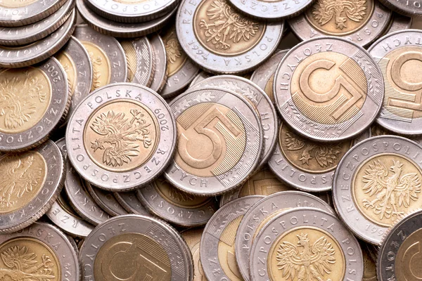 Polonês 5 moedas pln fundo . — Fotografia de Stock