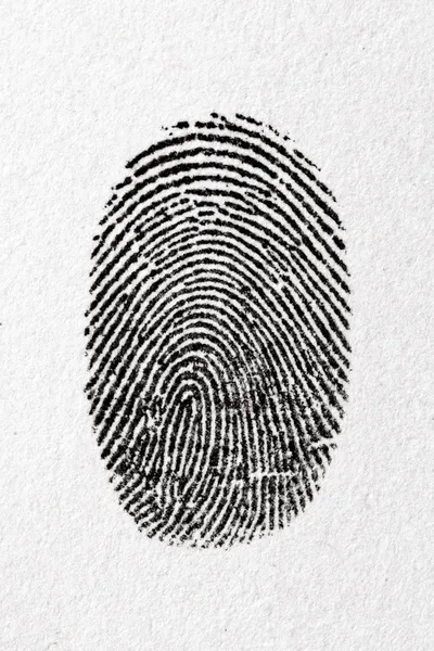 Impronta digitale su una carta Immagine Stock