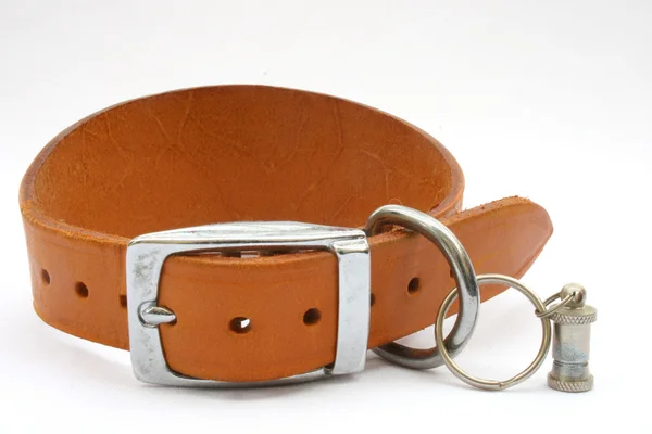 stock image Greyhound collar