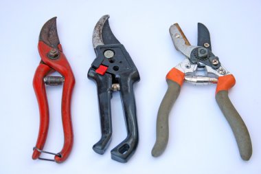 Secateurs.