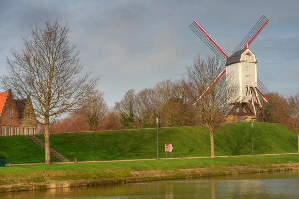 Bruge Windmill — Stock Photo, Image