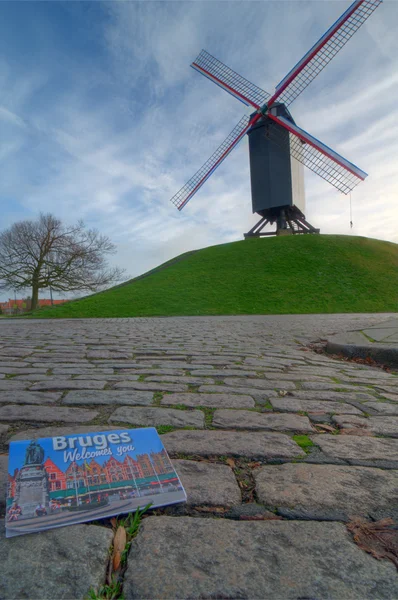 Brugge molen — Stockfoto