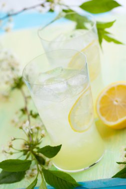 taze limonata