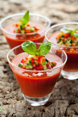 Gazpacho.