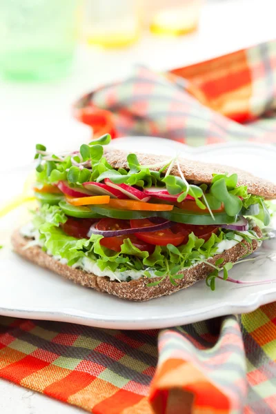 Növényi szendvics — Stock Fotó