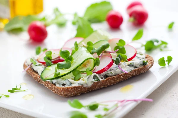 Fullkorn smörgåsar med grönsaker — Stockfoto
