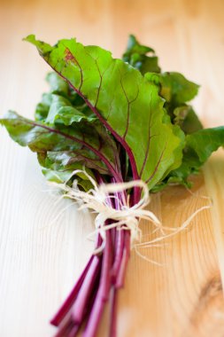 Chard leaves clipart