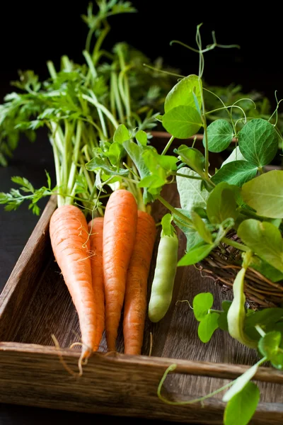 Fresh carrots and green pea — Stock Photo, Image