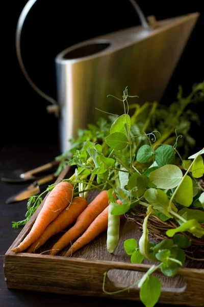 Frische Karotten und grüne Erbsen — Stockfoto