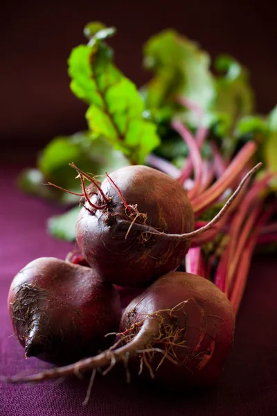 Bunch of beetroot — Stock Photo, Image