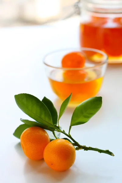 Sylt av citrusfrukt — Stockfoto