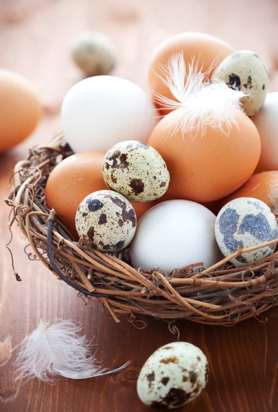 Ägg i ett bo på ett träbord — Stockfoto