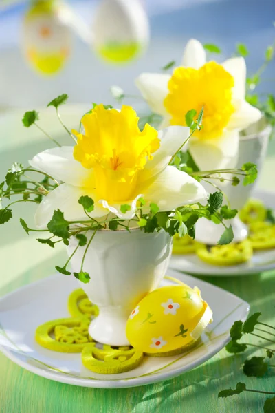 Narcisů v eggcups — Stock fotografie