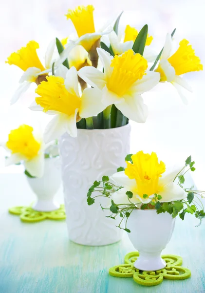 Narcissi in vase and eggcups — Stock Photo, Image