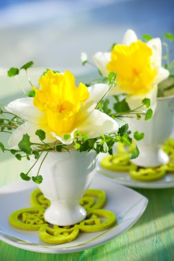 Narcissi in eggcups clipart