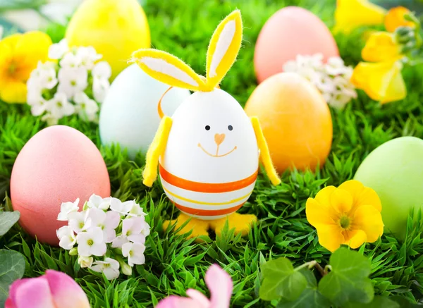 Colorate uova di Pasqua e coniglio — Foto Stock