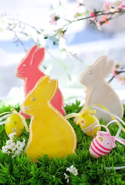 Easter bunny cookies — Stock Photo, Image