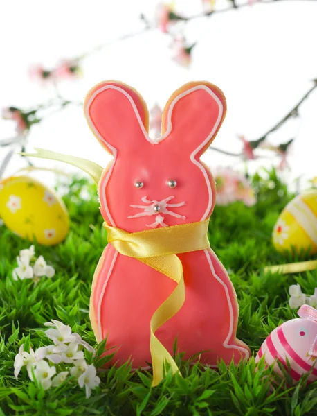 复活节兔子 cookie — 图库照片