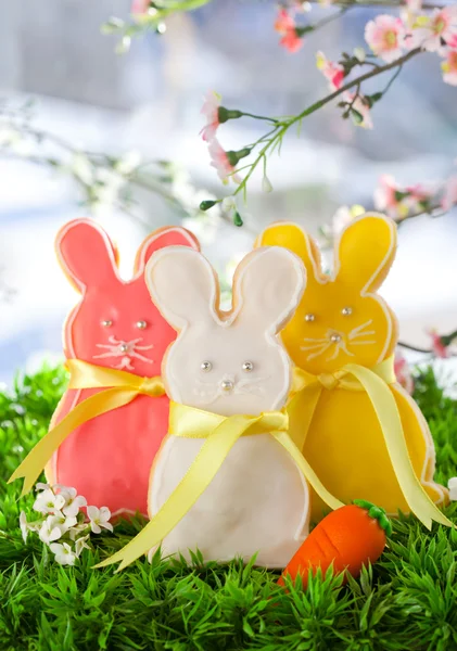 Easter bunny ciasteczka — Zdjęcie stockowe