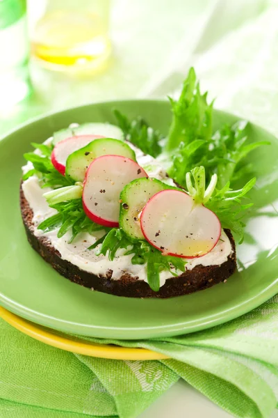Sandwich with soft cheese,radish and cucumber — Stock Photo, Image