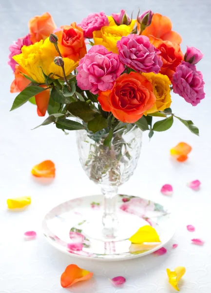 Многоцветные розы — стоковое фото