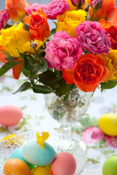 Multi-barevné růže — Stockfoto