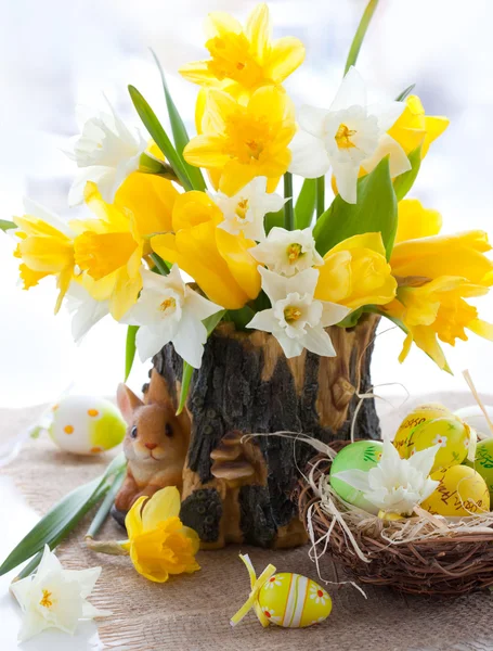 Narcyz i tulipany na Wielkanoc — Zdjęcie stockowe