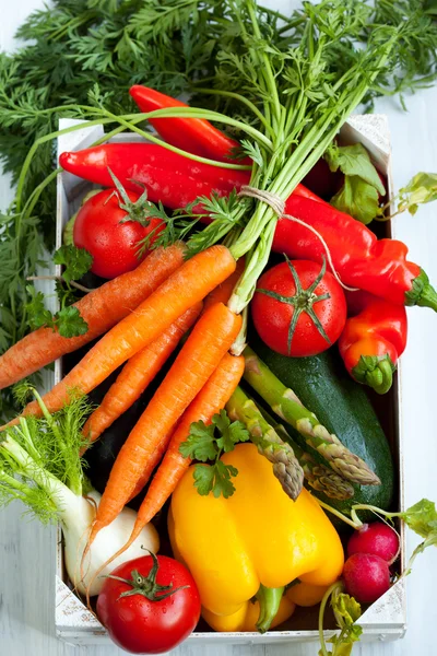 Diferentes verduras frescas —  Fotos de Stock