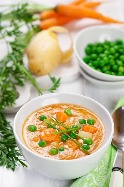 Färska grönsakssoppa — Stockfoto
