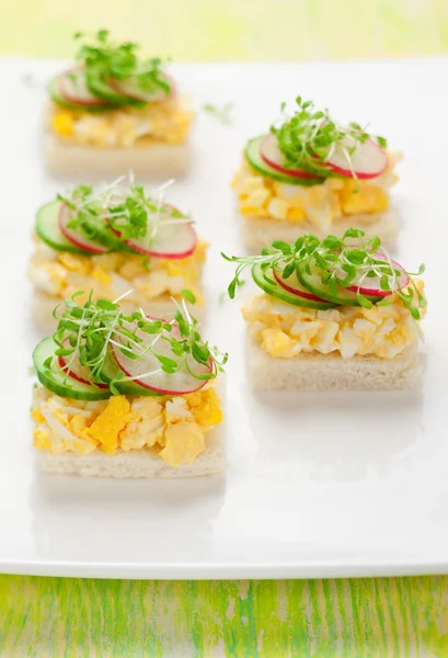 Canape with egg, cucumber, radishes and cress — Stock Photo, Image